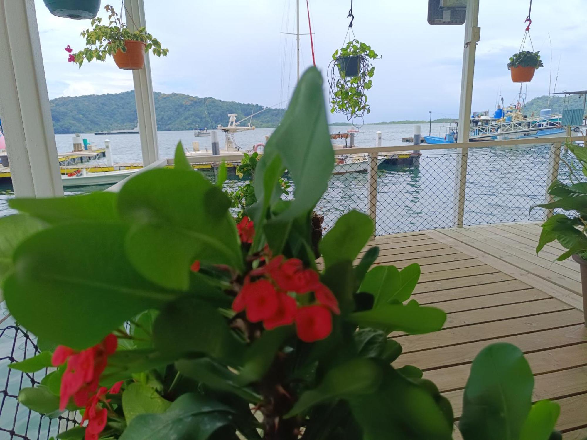 Banana Bay Marina Hotel 3*